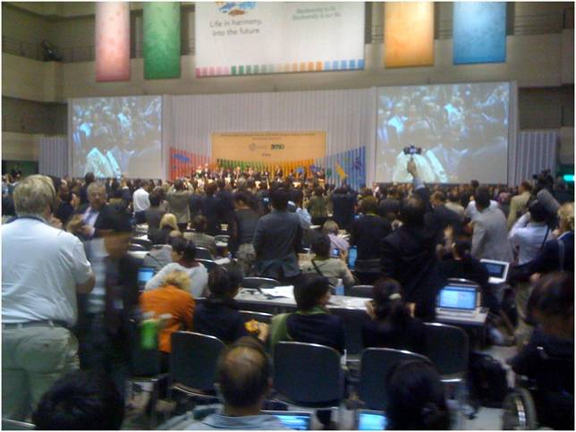 COP10.jpg