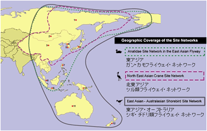 バードライフ鈴江様図2.png