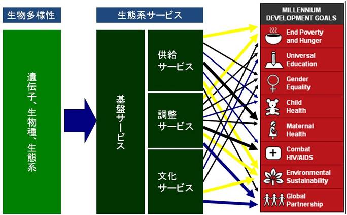 図表エコシステム.jpg