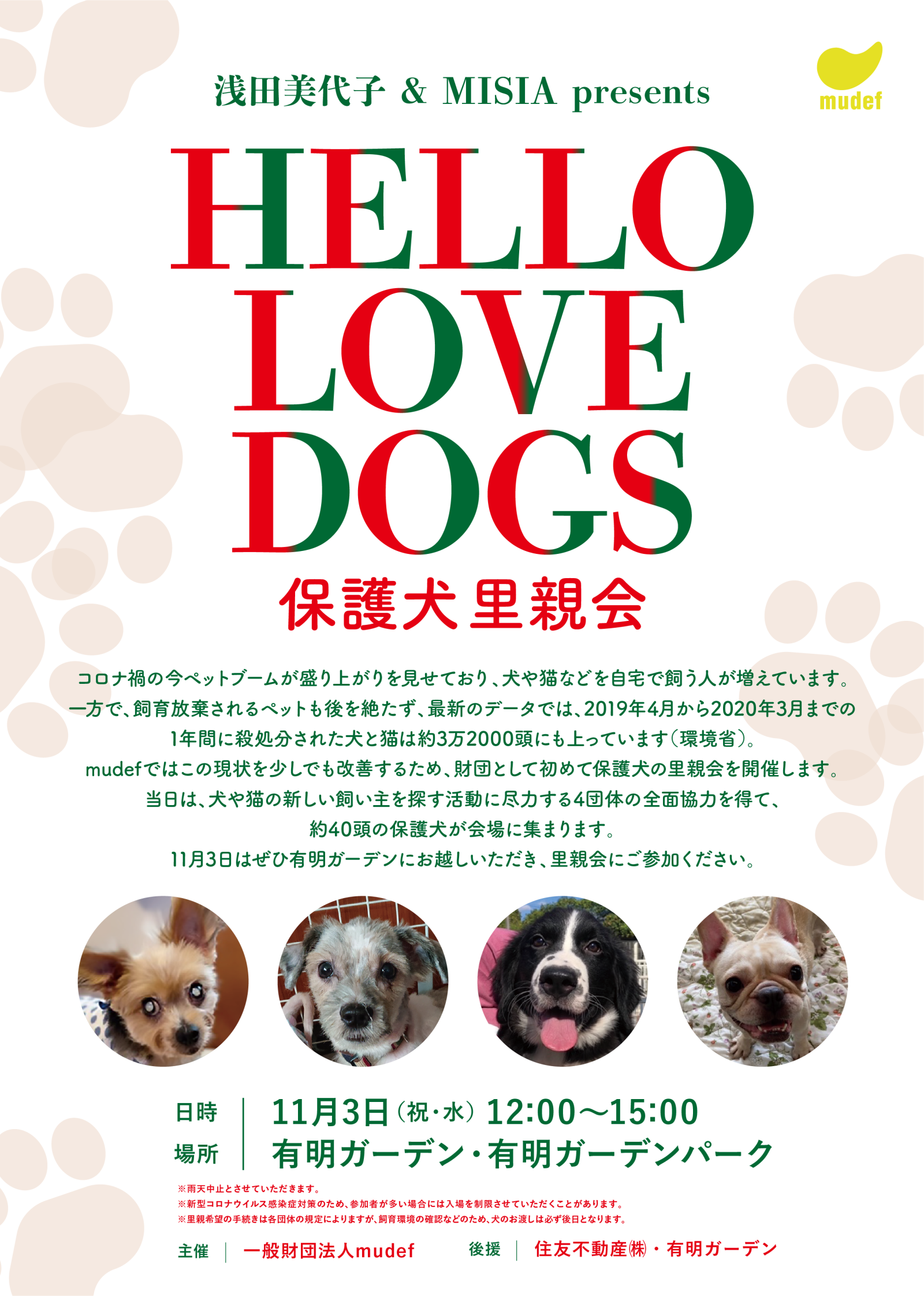 浅田美代子 & MISIA presents HELLO LOVE DOGS 保護犬里親会